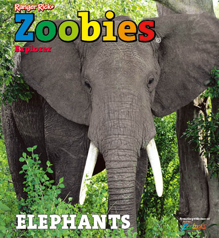 Ranger Rick® Zoobies - ELEPHANTS
