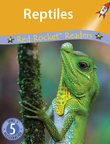 Fluency Level 4 : Reptiles