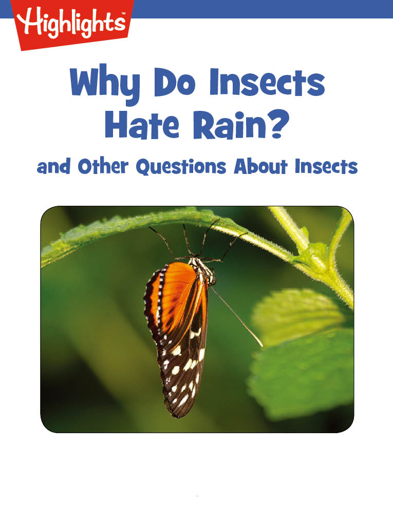 Why Do Insects Hate Rain? And Other Questions About Insects