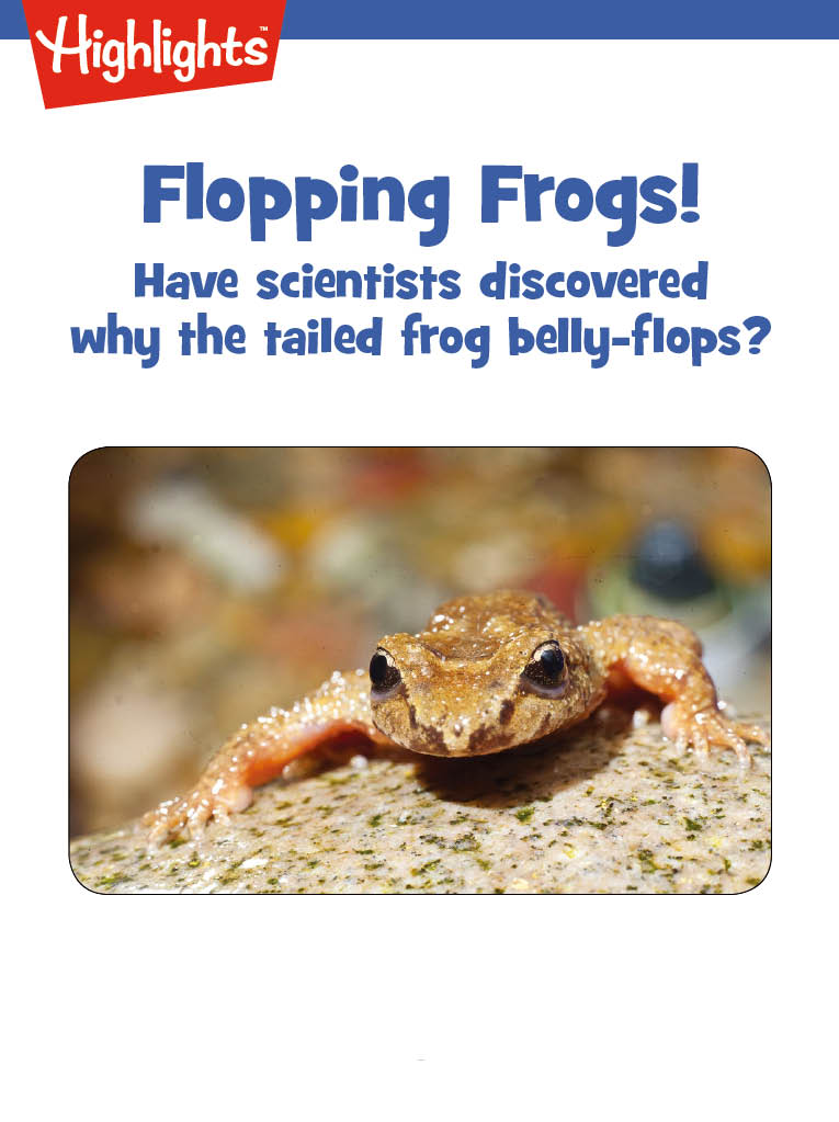 Flopping Frogs!