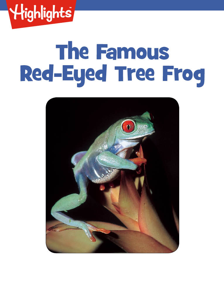The Famous Red-Eyed Tree Frog