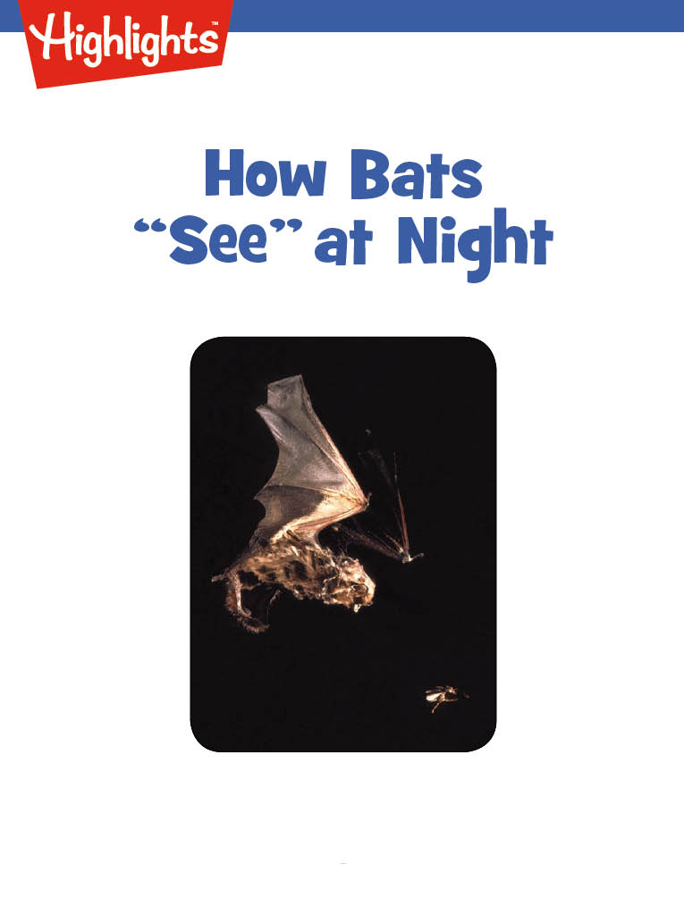 How Bats “See” at Night