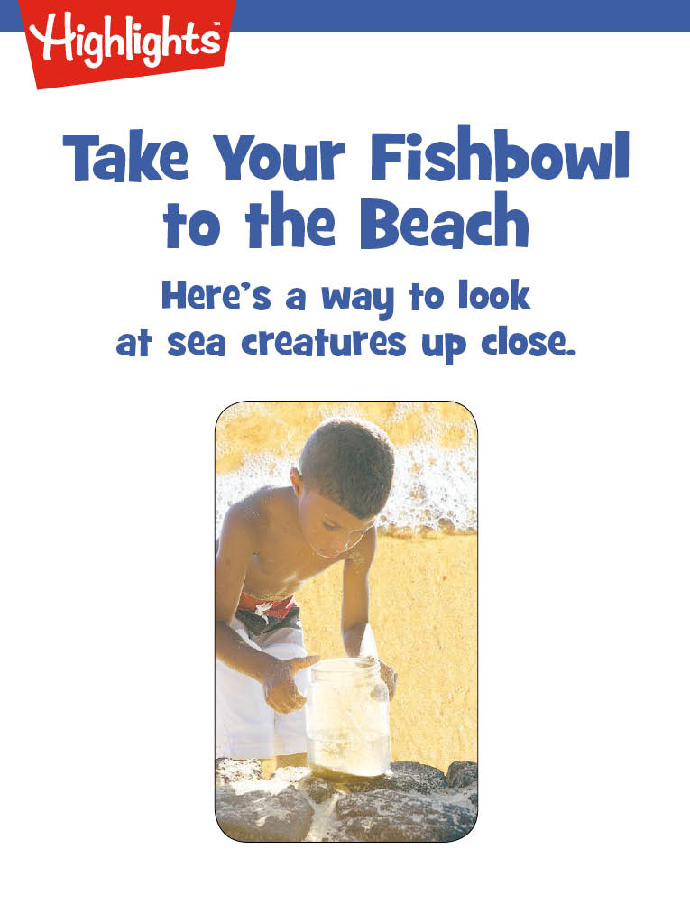 Take Your Fishbowl to the Beach