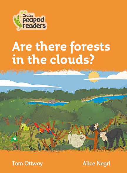 Are there forests in the clouds?