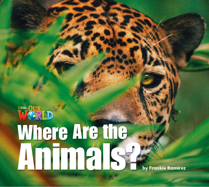 動物たちはどこにいる？