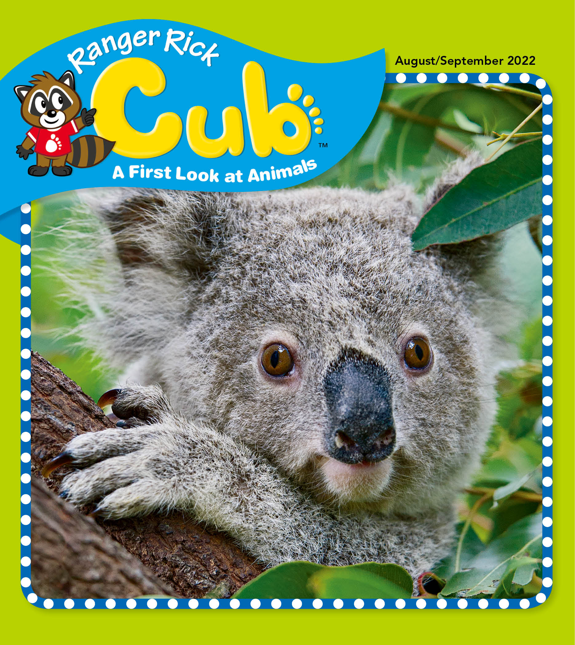 Ranger Rick Cub - Koala