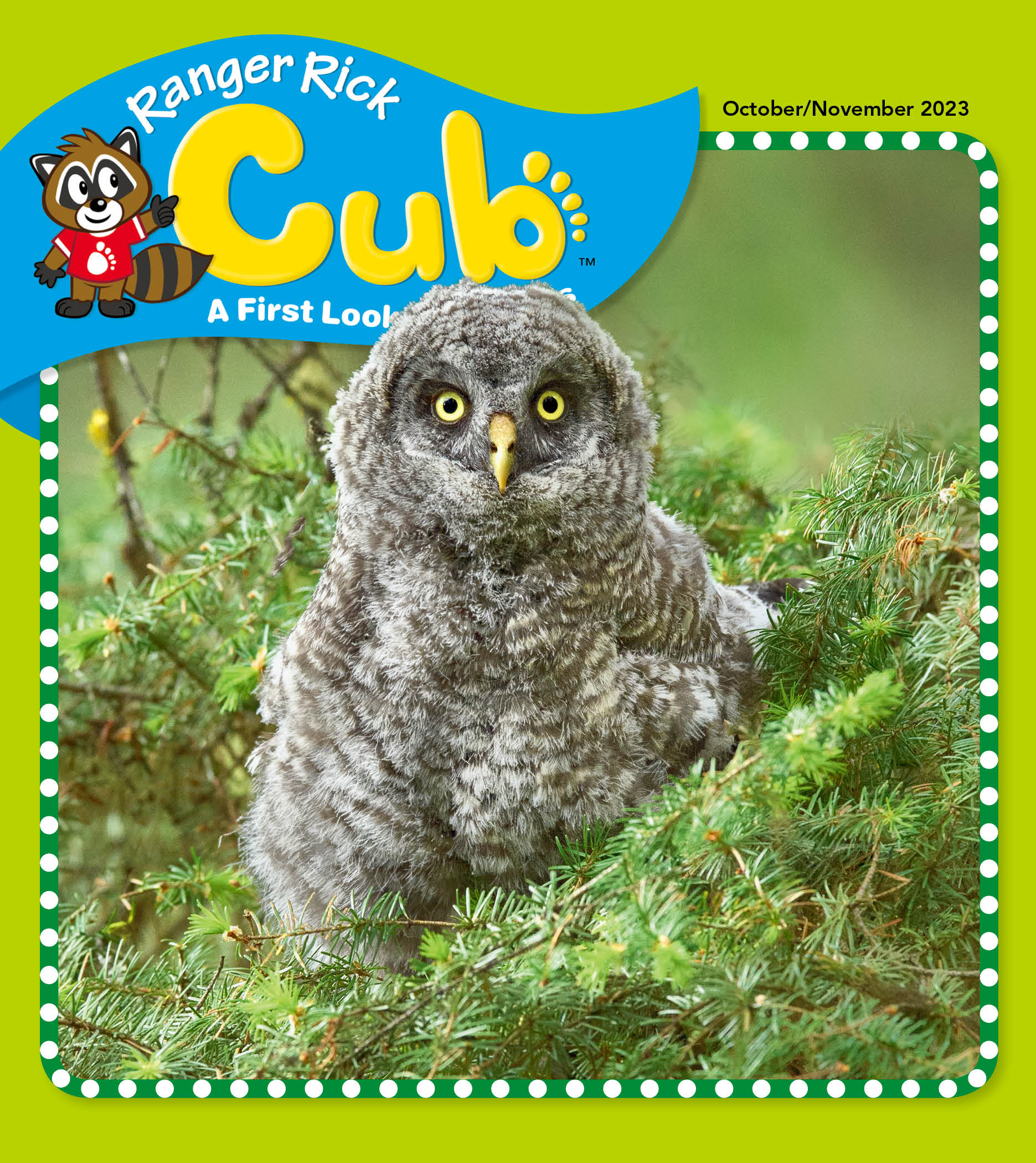 Ranger Rick Cub - Owl