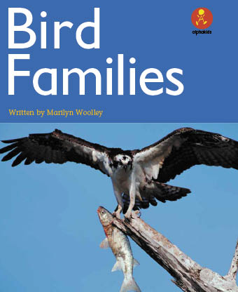 Level 18 : Bird Families