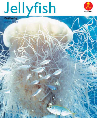 Level 19 : Jellyfish