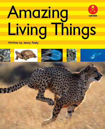 Level 21 : Amazing Living Things