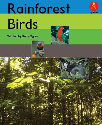 Level 24 : 熱帯雨林の鳥たちはどうやって暮らしているの?