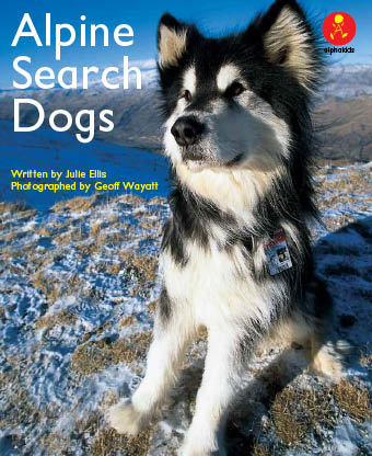 Alpine Search Dogs
