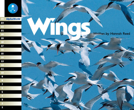 Level 7 Book 2 Wings / 羽やつばさをもつ動物たち