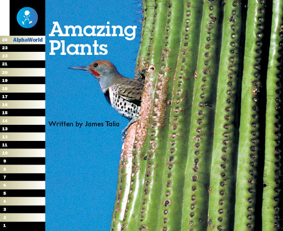 Level 10 Book 3 Amazing Plants / 世界の驚くべき植物