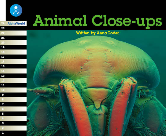 Level 11 Book 4 Animal Close-ups / 生き物の体をクローズアップで見てみよう