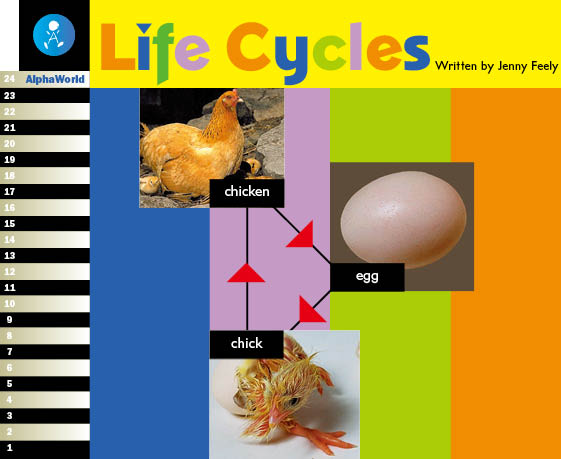 Level 12 Book 4 Life Cycles / 生き物によって異なるライフサイクル