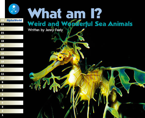 Level 17 Book 2 What am I?  / 不思議な見た目の海の生き物たち