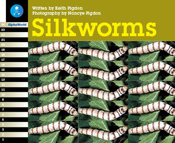 Level 17 Book 3 Silkworms / カイコのライフサイクル