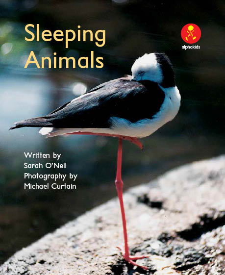 Level6 Book 1 Sleeping Animals/動物たちはどこで眠る？　場所を表す前置詞を学ぼう
