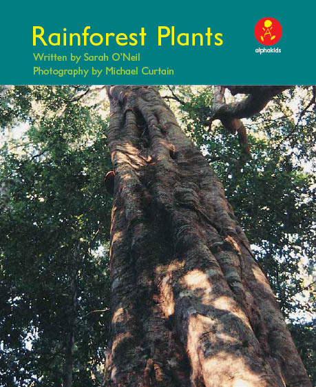 Level10 Book 2 Rainforest Plants/太陽の光が必要な植物-very littleからthe mostまで