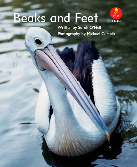 Level11 Book 1 Beaks and Feet/鳥のくちばしと足を比べてみよう