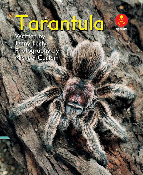 即納/在庫有り タランチュラ&サソリ : all about tarantula and sc 