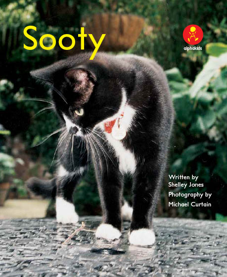 Level12 Book 4 Sooty/私の友だち、猫のスーティ