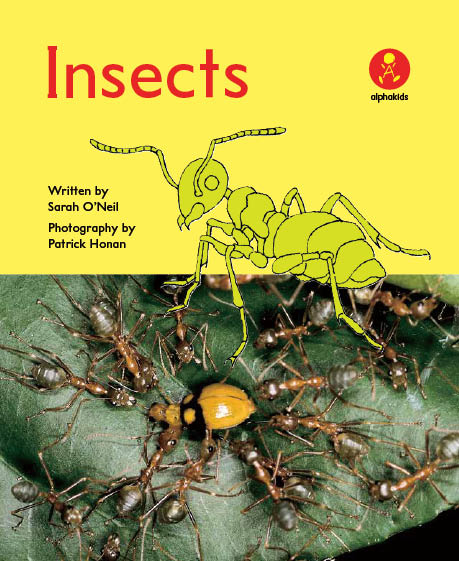 Level14 Book 2 Insects/身の回りの虫を観察しよう