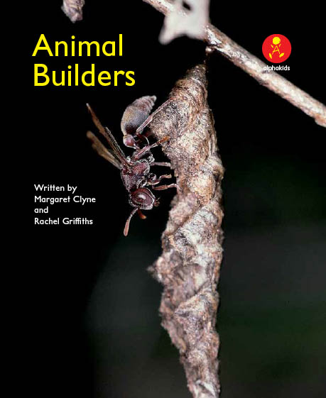 Level17 Book 1 Animal Builders/生き物たちの手作りハウス