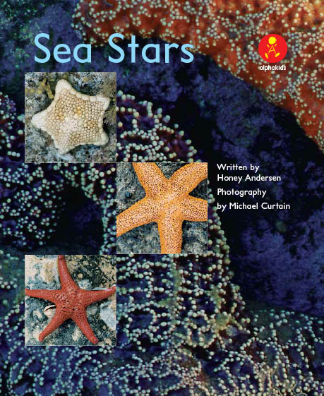 Level17 Book 3 Sea Stars/ヒトデを観察してみよう