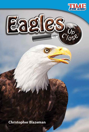 Eagles Up Close