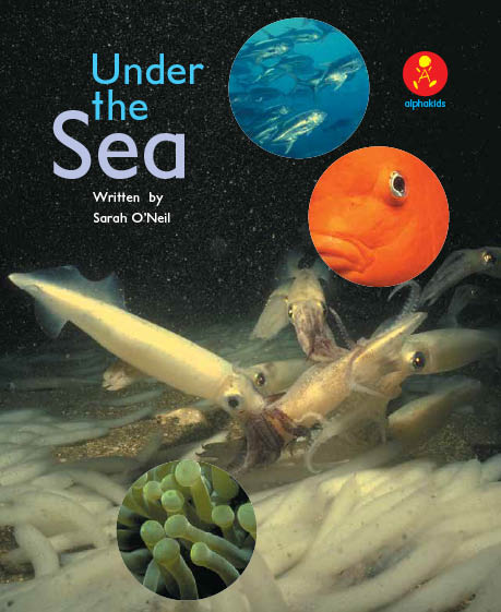 Level19 Book 6 Under the Sea/海の中をのぞいてみよう