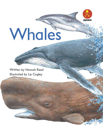 Level 9 : Whales