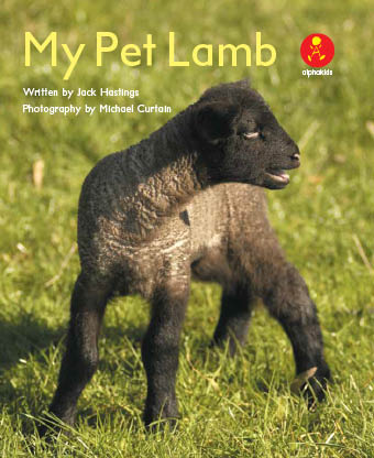 My Pet Lamb