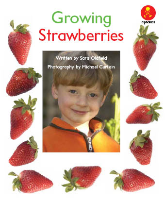 Level 13 : Growing Strawberries