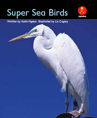 Level 17 : Super Sea Birds